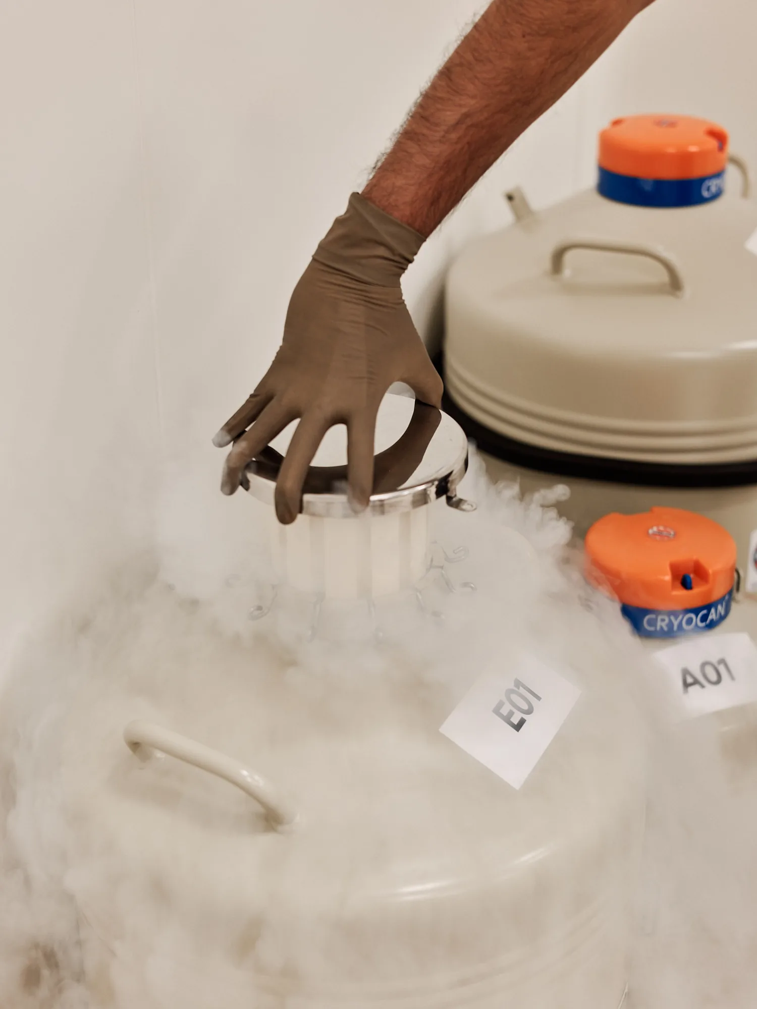 Egg Freezing